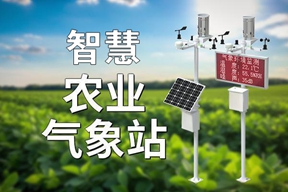 智慧农业气象站：现代农业的“气象管家”