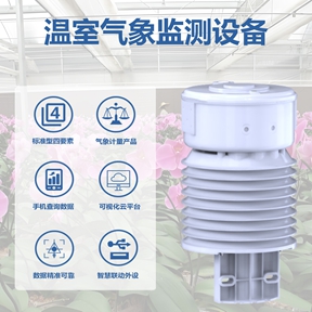 温室气象监测设备：守护温室作物生长的‘环境调节器’