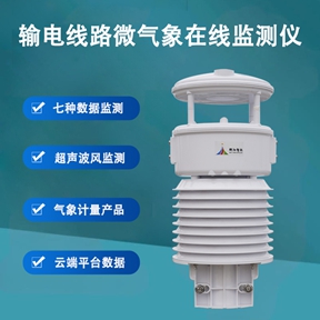 输电线路微气象在线监测仪主要测量什么?守护冰雪与大风中