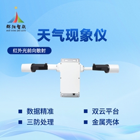 辉阳智联品牌推荐：天气现象仪在极端天气防范中的实用作