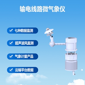 输电线路微气象仪：输电线路微气象仪满足标准与提升资产