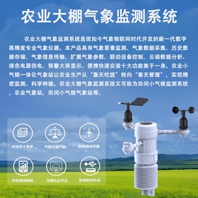 农业大棚气象监测系统：揭秘辉阳智联农业大棚气象监测系