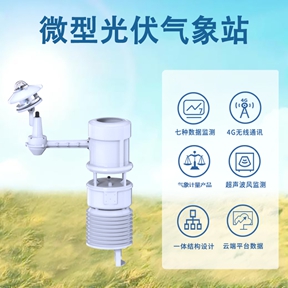 微型光伏气象站如何成为光伏电站的“超级大脑”?