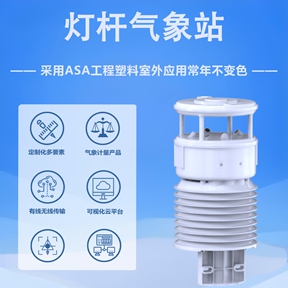 灯杆气象站：灯杆气象站如何为现代农业赋能