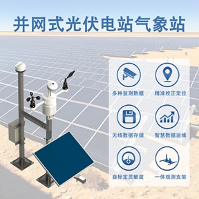并网式光伏电站气象站 并网式光伏电站气象站